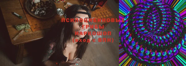 герыч Бронницы